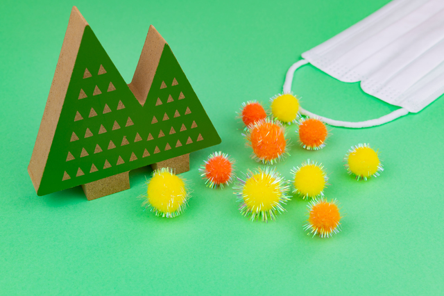 重症アレルギー性鼻炎の手術：後鼻神経切断術